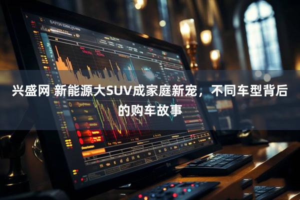 兴盛网 新能源大SUV成家庭新宠，不同车型背后的购车故事