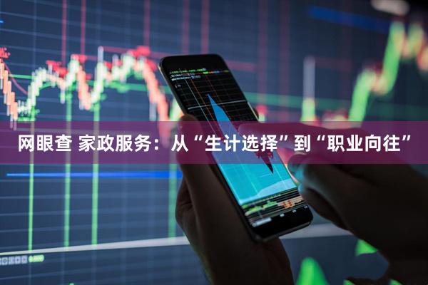 网眼查 家政服务：从“生计选择”到“职业向往”