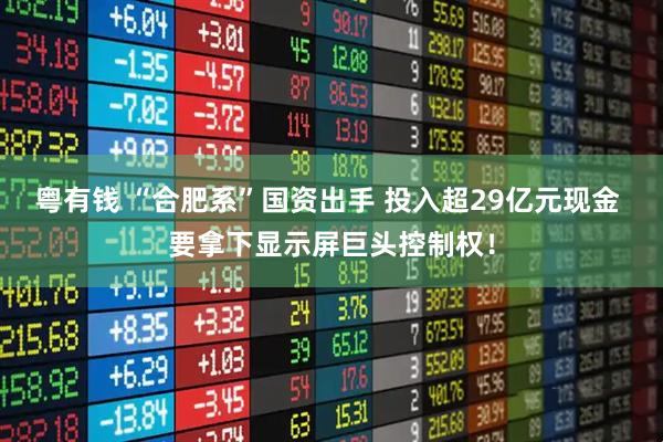 粤有钱 “合肥系”国资出手 投入超29亿元现金 要拿下显示屏巨头控制权！