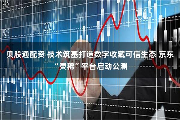 贝股通配资 技术筑基打造数字收藏可信生态 京东“灵稀”平台启动公测