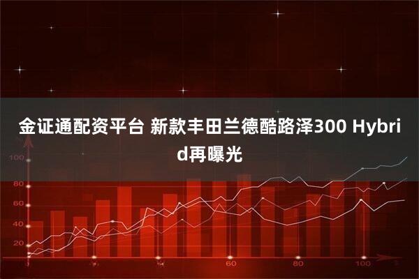 金证通配资平台 新款丰田兰德酷路泽300 Hybrid再曝光
